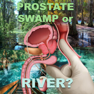 Your Prostate Has Poor Circulation and Is Like a Swamp, Accumulating Unresolved Infections.